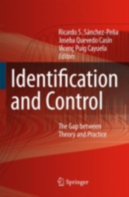 Identification and Control : The Gap between Theory and Practice, PDF eBook