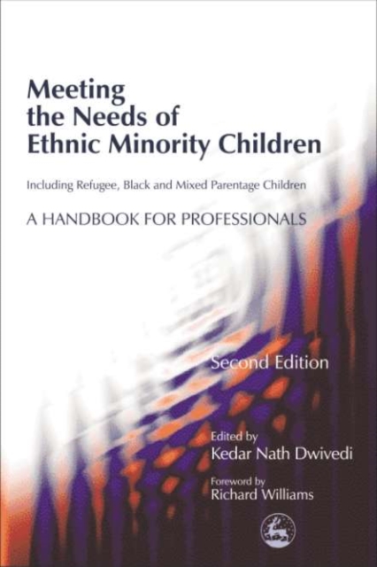 Meeting the Needs of Ethnic Minority Children - Including Refugee, Black and Mixed Parentage Children : A Handbook for Professionals Second Edition, PDF eBook