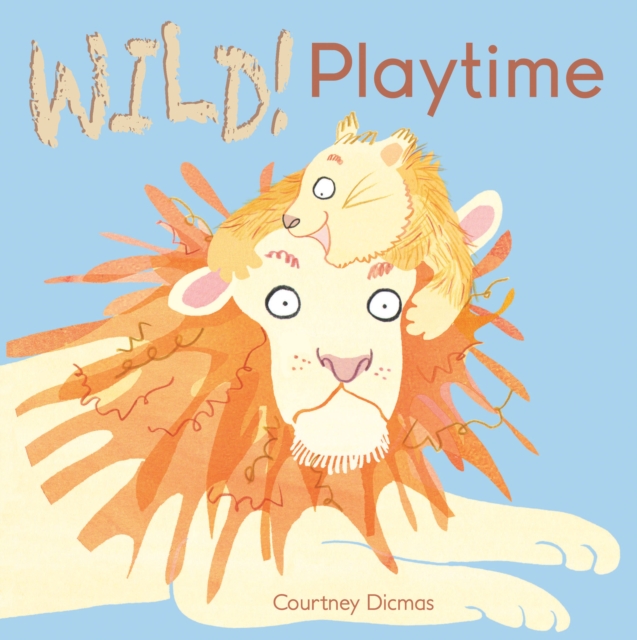 Playtime, Board book Book