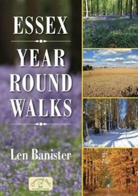 Essex Year Round Walks, Paperback / softback Book