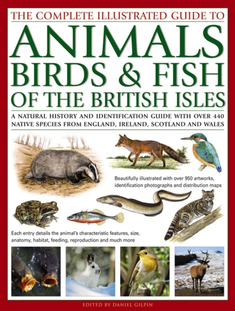 The Complete Illustrated Guide to Animals, Birds & Fish of the British Isles : A Natural History and Identification Guide with Over 440 Native Species from England, Ireland, Scotland and Wales, Paperback / softback Book