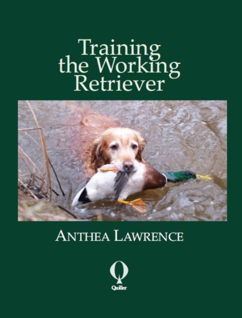 Training the Working Retriever, EPUB eBook