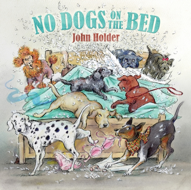 No Dogs on the Bed, Hardback Book