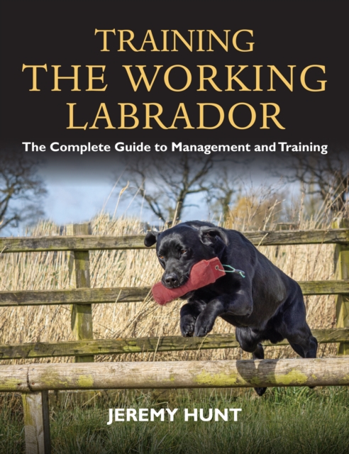 Training the Working Labrador : The Complete Guide to Management and Training, Paperback / softback Book