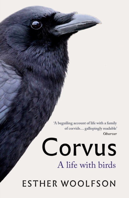 Corvus : A Life With Birds, EPUB eBook