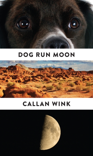 Dog Run Moon : Stories, Paperback / softback Book