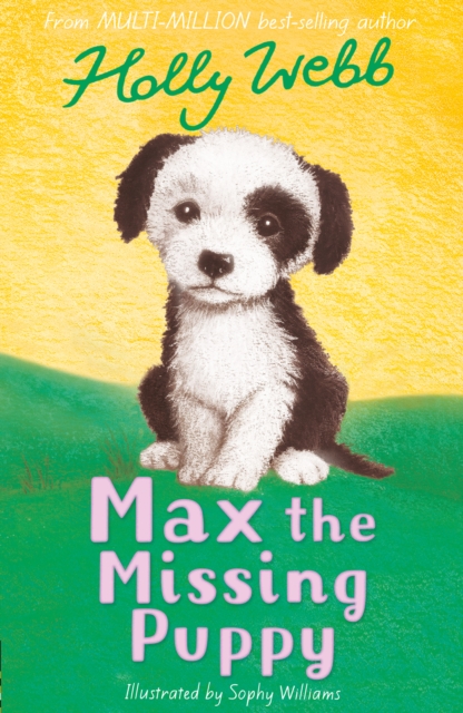 Max the Missing Puppy, Paperback / softback Book