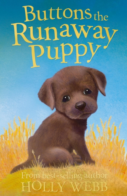 Buttons the Runaway Puppy, EPUB eBook