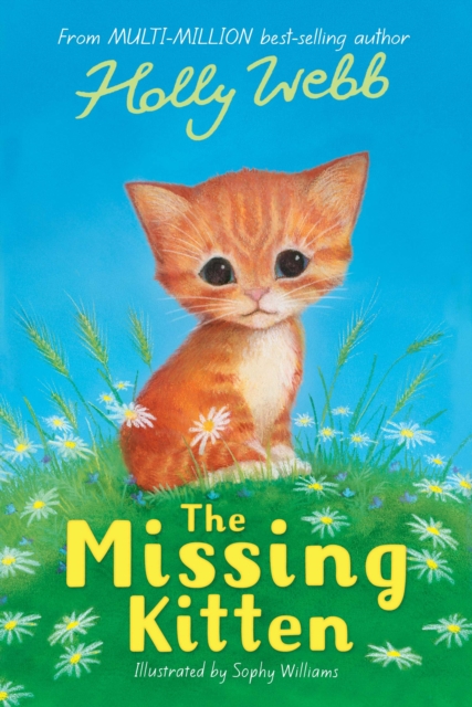 The Missing Kitten, Paperback / softback Book