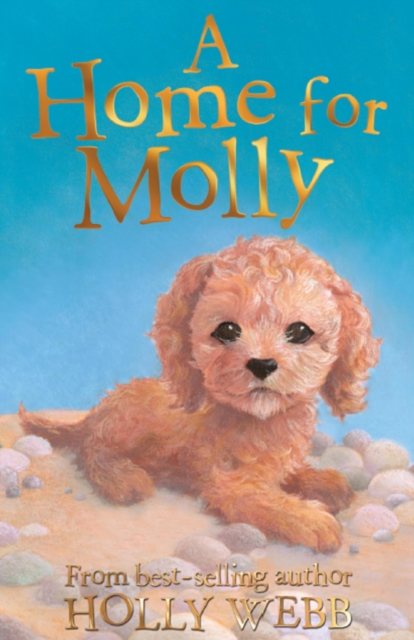 A Home for Molly, EPUB eBook