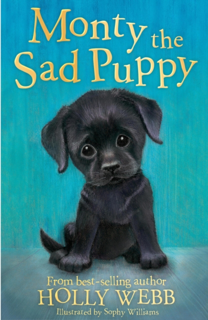 Monty the Sad Puppy, EPUB eBook