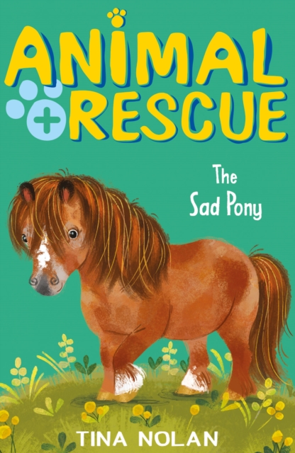 The Sad Pony, Paperback / softback Book