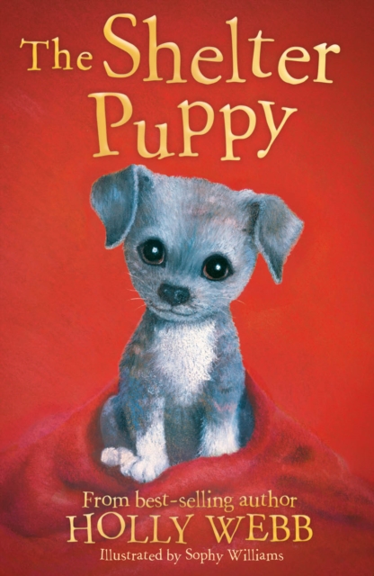 The Shelter Puppy, Paperback / softback Book