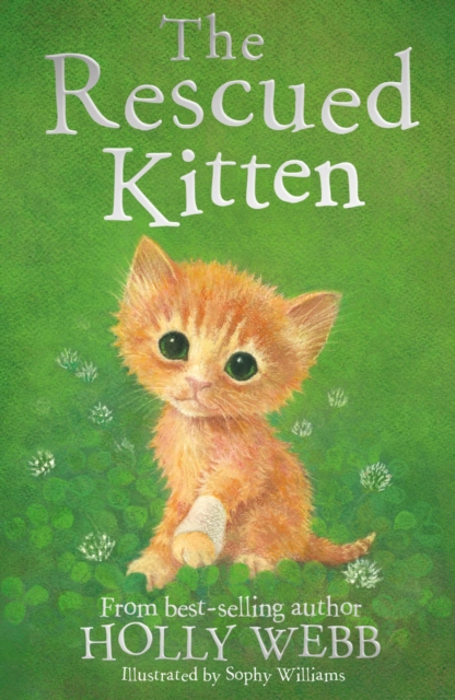 The Rescued Kitten, EPUB eBook