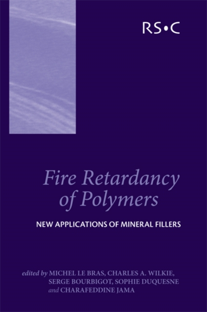 Fire Retardancy of Polymers : New Applications of Mineral Fillers, PDF eBook