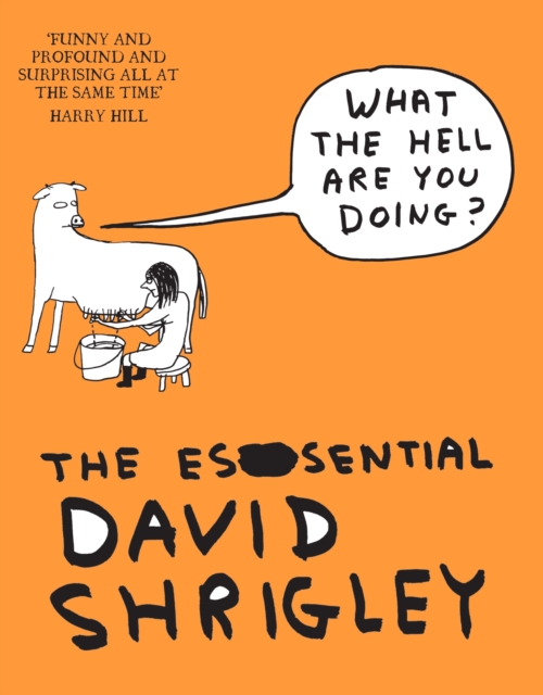 What The Hell Are You Doing?: The Essential David Shrigley, Paperback / softback Book