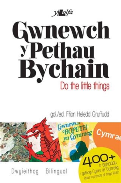 Gwnewch y Pethau Bychain/Do the Little Things, EPUB eBook
