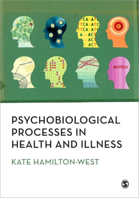 Psychobiological Processes in Health and Illness, Paperback / softback Book