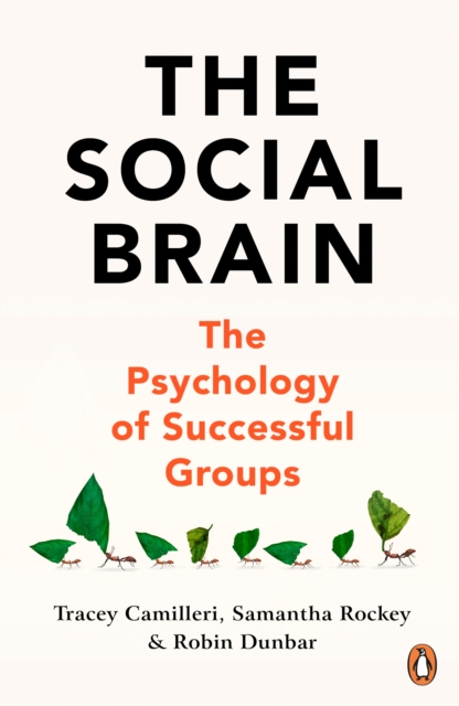 The Social Brain : The Psychology of Successful Groups, Paperback / softback Book