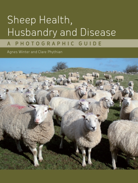 Sheep Health, Husbandry and Disease : A Photographic Guide, Hardback Book