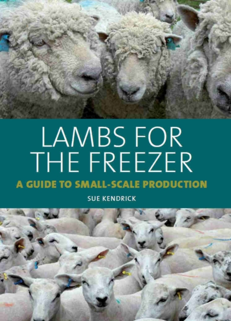 Lambs for the Freezer : A Guide to Small-Scale Production, Hardback Book