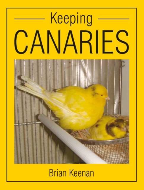 Keeping Canaries, Paperback / softback Book
