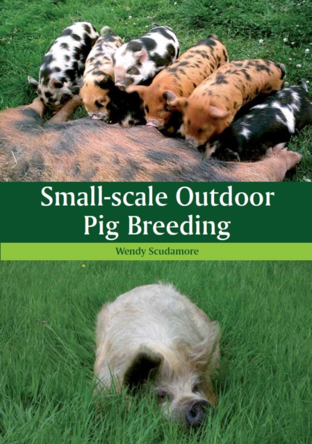 Small-scale Outdoor Pig Breeding, Paperback / softback Book