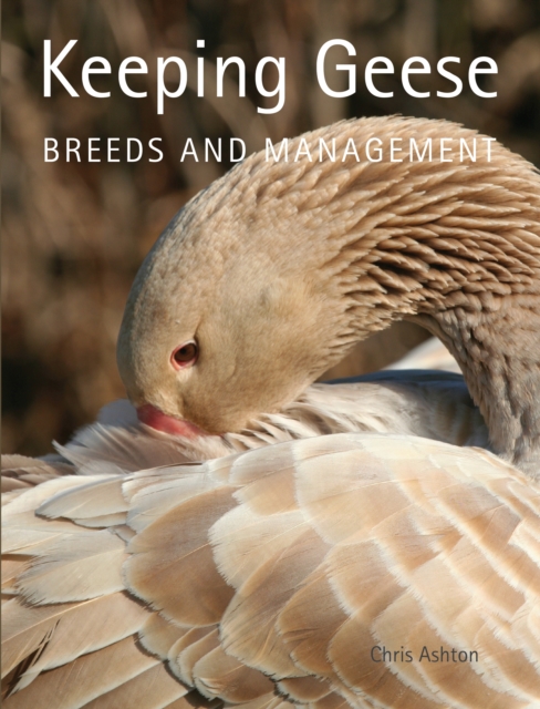 Keeping Geese : Breeds and Management, Paperback / softback Book