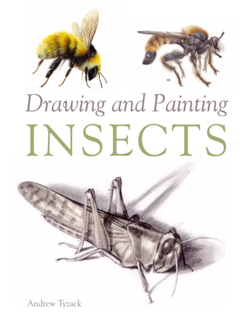 Drawing and Painting Insects, Paperback / softback Book