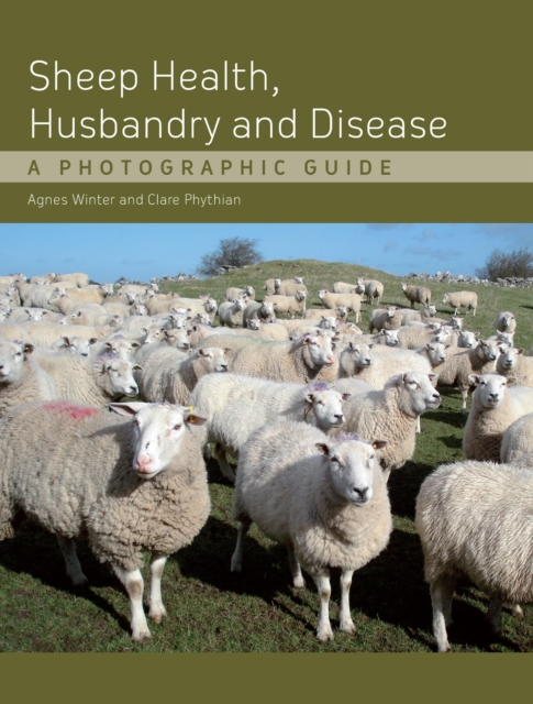 Sheep Health, Husbandry and Disease, EPUB eBook