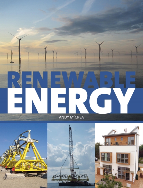 Renewable Energy : A User's Guide, EPUB eBook