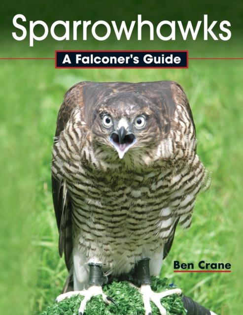 Sparrowhawks : A Falconer's Guide, Hardback Book
