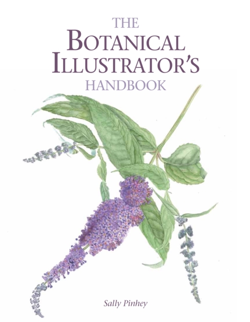The Botanical Illustrator's Handbook, Paperback / softback Book