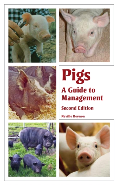 Pigs : A Guide to Management - Second Edition, Paperback / softback Book