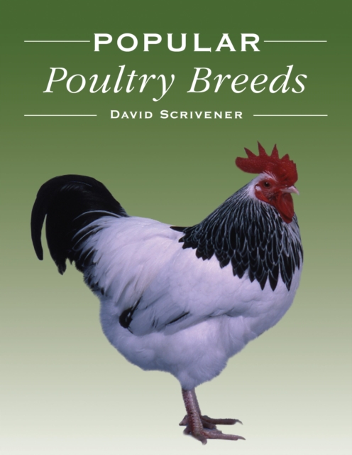 Popular Poultry Breeds, EPUB eBook