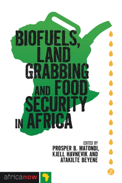Biofuels, Land Grabbing and Food Security in Africa, EPUB eBook