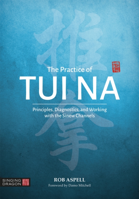 The Practice of Tui Na : Principles, Diagnostics and Working with the Sinew Channels, Paperback / softback Book