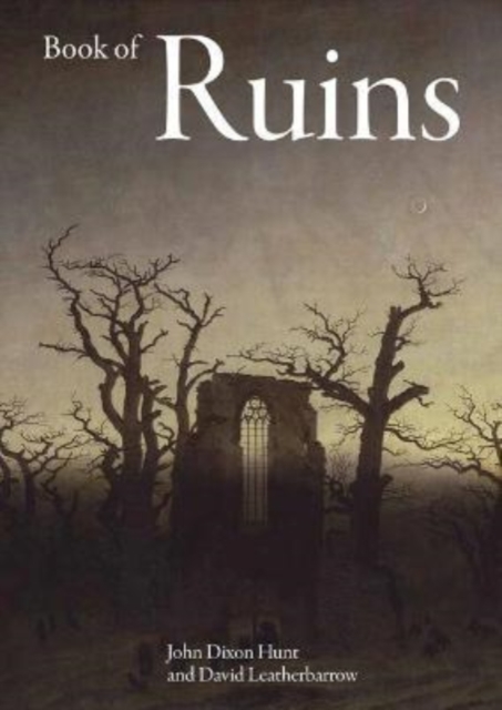 Book of Ruins, Hardback Book