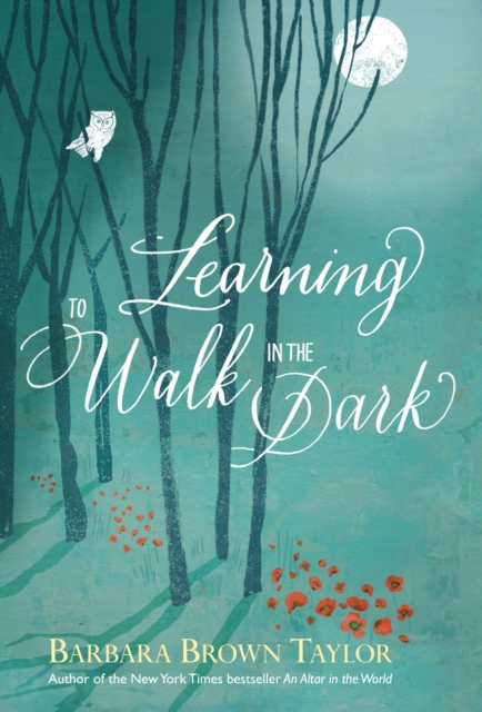 Learning to Walk in the Dark : Because God often shows up at night, EPUB eBook