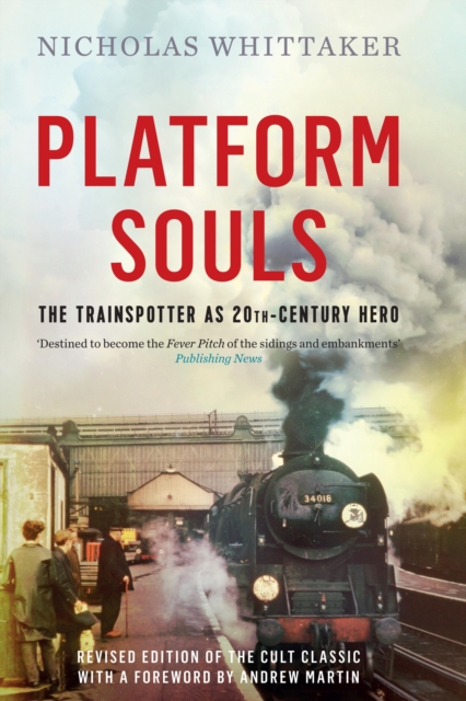Platform Souls, EPUB eBook