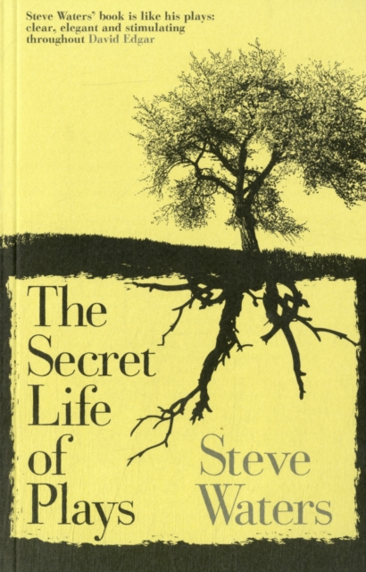 The Secret Life of Plays, Paperback / softback Book