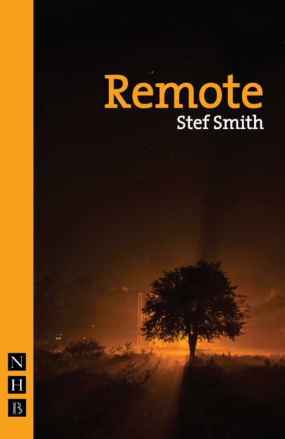 Remote, Paperback / softback Book