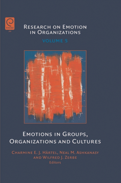 Emotions in Groups, Organizations and Cultures, PDF eBook