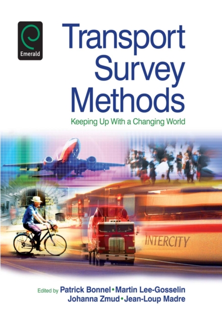 Transport Survey Methods : Keeping Up with a Changing World, PDF eBook
