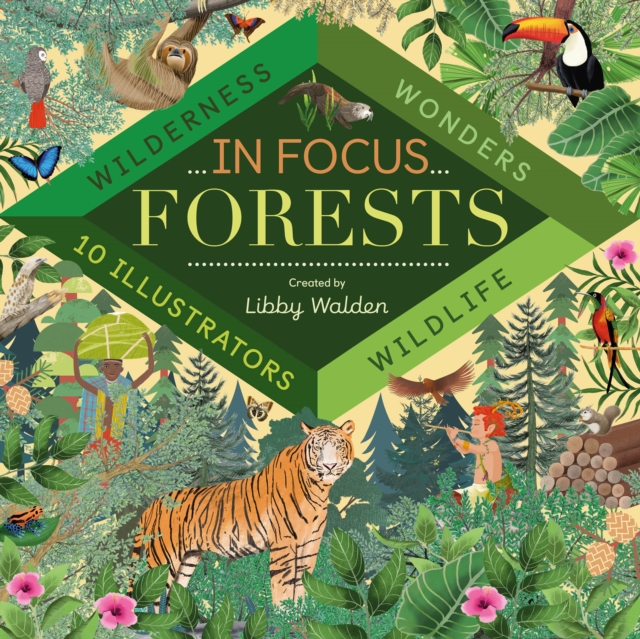 In Focus: Forests, Novelty book Book