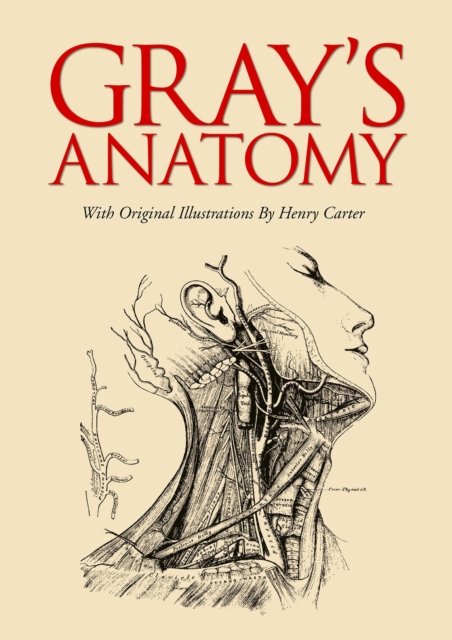 Gray's Anatomy, EPUB eBook