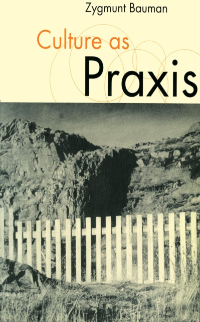 Culture as Praxis, PDF eBook