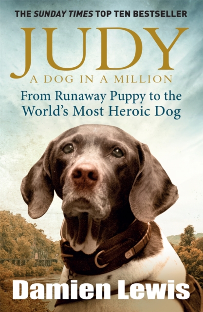 Judy: A Dog in a Million : From Runaway Puppy to the World's Most Heroic Dog, Paperback / softback Book