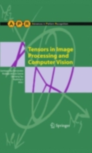 Tensors in Image Processing and Computer Vision, PDF eBook