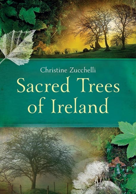 Sacred Trees of Ireland, Paperback / softback Book